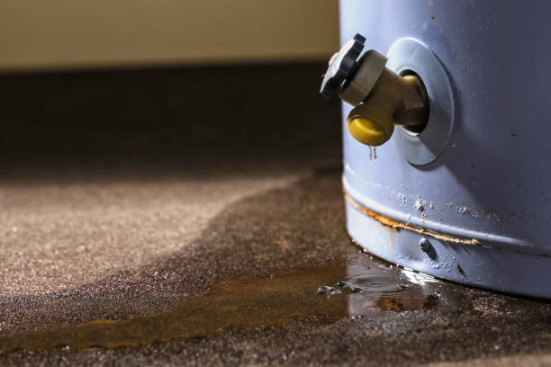 Best Carpet water damage restoration  in Cherokee, IA