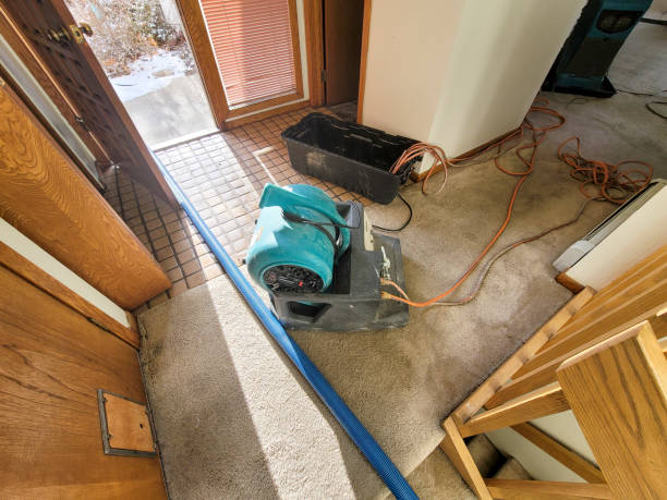 Best Residential water damage restoration  in Cherokee, IA