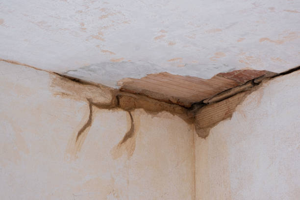 Reliable IA Water damage restoration Solutions