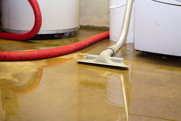 Best Flood restoration services  in Cherokee, IA