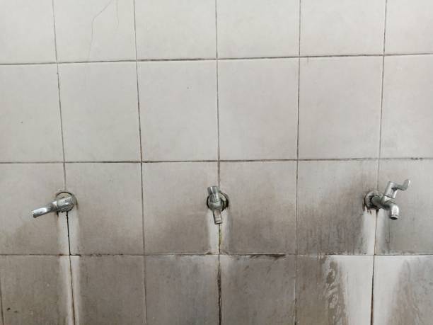 Best Sewage cleanup and water damage restoration  in Cherokee, IA