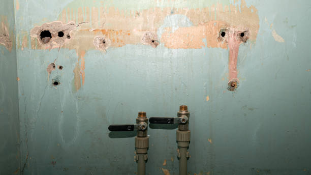 Best Flood damage cleanup  in Cherokee, IA