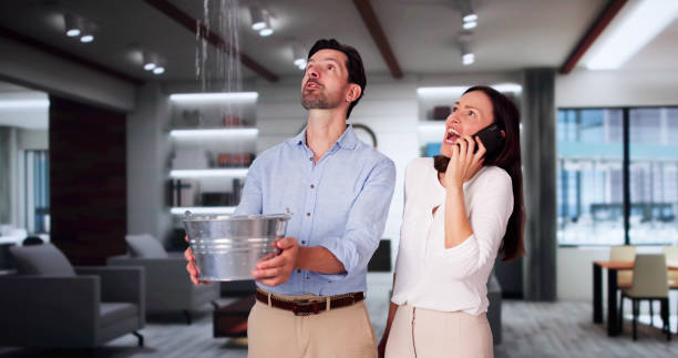  Cherokee, IA Water damage restoration Pros
